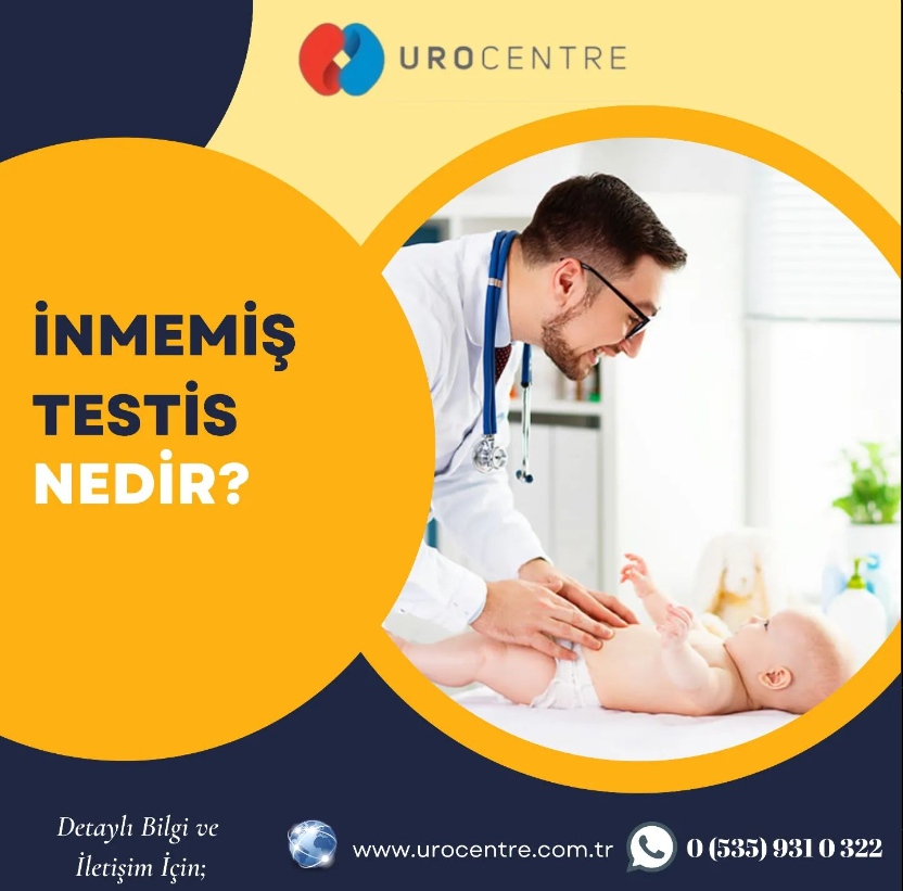 İnmemiş Testis